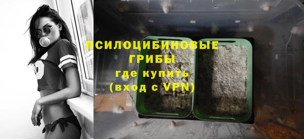 кокс Богородицк
