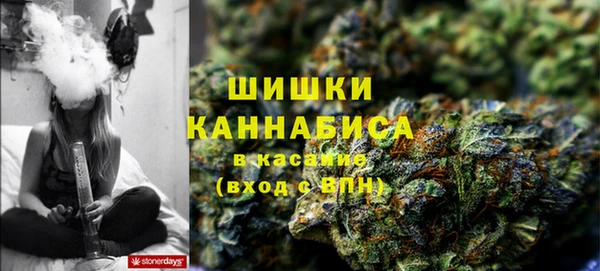 сатива Нягань