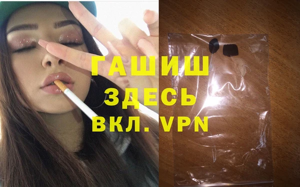 шишки Новодвинск
