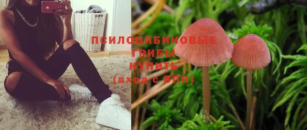 ALPHA-PVP Бородино