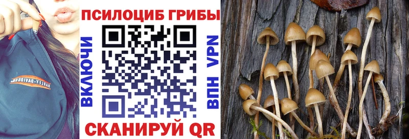 Псилоцибиновые грибы мицелий Миллерово