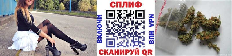 Каннабис SATIVA & INDICA  Миллерово 